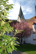 Evangelisches Seminar